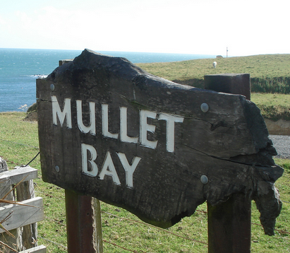 Mullet Bay, Southland